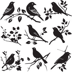 set of birds