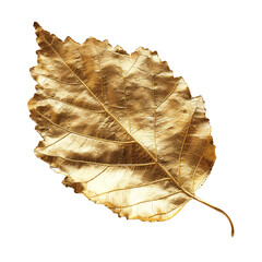 Gold leaf isolated on transparent background.