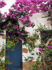 Beautiful entrance to a house with a blue door and flowers around it