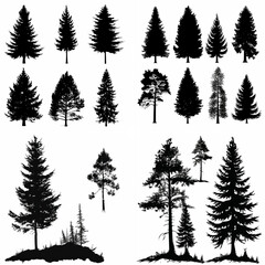black tree silhouette set pure badge eco outline recreation breath emblem label protection graphic pine trunk woodland