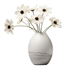 PNG  Modern vase flower plant white.