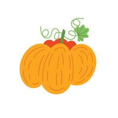 Pumpkin vector illustration in a cute cartoon style. Thanksgiving pumpkin vector.