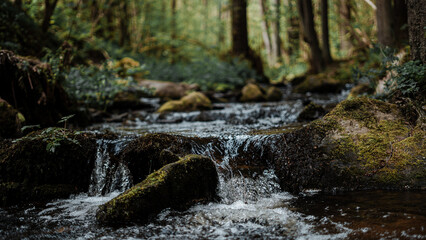A small waterfall in a forest in the early morning. Shallow depth of field.