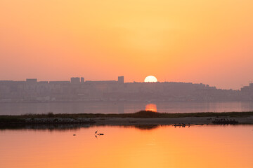 Birds sit on the island at sunrise. Baku. Azerbaijan.