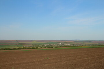 A field with a field of crops and a rainbow in the sky