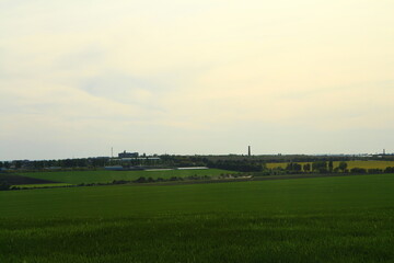 A field with a rainbow