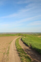 A dirt road with grass and blue sky