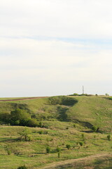 A landscape with a field and trees