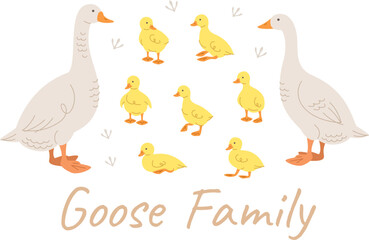 Cute doodle goose family members. Hand drawn linear male and female goose and adorable goslings in different poses, isolated on white. Stylized vector cartoon illustration. Domestic farm birds
