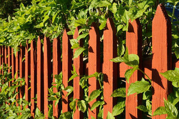 Close up of a red picket fence
