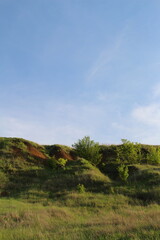 A grassy hill with trees and blue sky