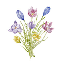 Watercolor Spring Bouquet with Iris.