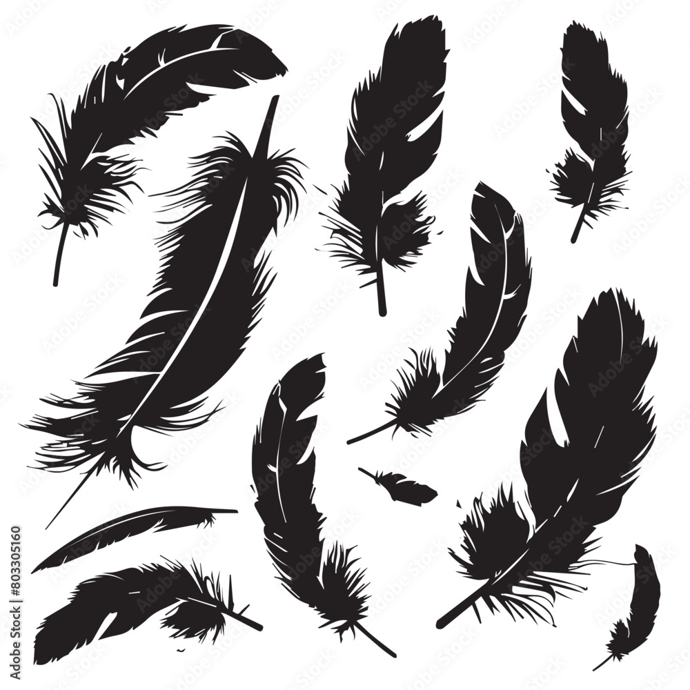 Sticker feathers vector illustration