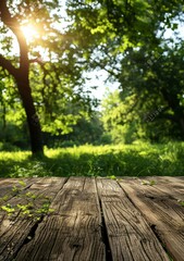 An old wooden table in a lush green forest with a bright sun shining through the trees
