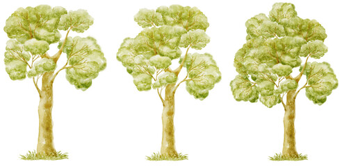 Set of Watercolor Green Trees. Illustration.