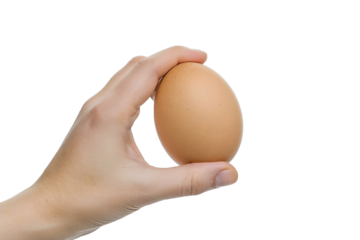 hand holding egg