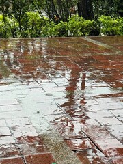 Gotas de lluvia sobre patio, mojado 