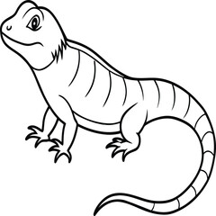 Lizard coloring pages. Lizard animal outline. Reptile line art