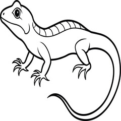 Lizard coloring pages. Lizard animal outline. Reptile line art