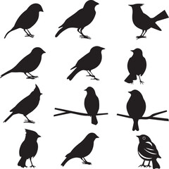 set of birds