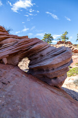 Ancient Rock Eroded into Unique Features at Zion National Park
