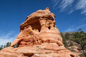 Ancient Rock Eroded into Unique Features at Zion National Park