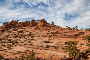Ancient Rock Eroded into Unique Features at Zion National Park