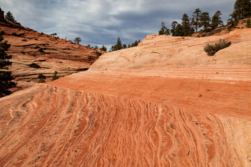 Ancient Rock Eroded into Unique Features at Zion National Park