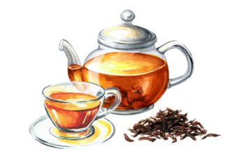 Glass transparent teapot with black tea. Hand drawn watercolor illustration isolated on white background