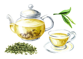 Glass transparent teapot and a cup set, with green tea. Hand drawn watercolor illustration isolated on white background