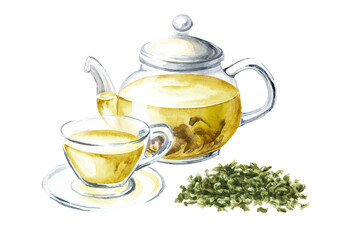 Glass transparent teapot with green tea. Hand drawn watercolor illustration isolated on white...