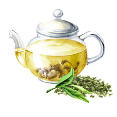 Glass transparent teapot with green tea. Hand drawn watercolor illustration, isolated on white background