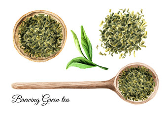 Green tea brewing set, top view.  Hand drawn watercolor illustration, isolated on white background