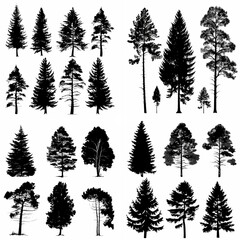 Obraz premium black tree silhouette set pure badge eco outline recreation breath emblem label protection graphic pine trunk woodland