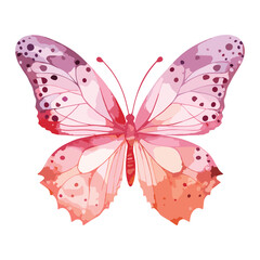 Watercolor butterfly vector illustration on white background.