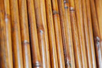 Textura de Bamboo