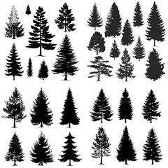black tree silhouette set pure badge eco outline recreation breath emblem label protection graphic pine trunk woodland