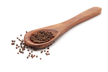 Front view of a wooden spoon filled with Organic Green Broccoli (Brassica oleracea) seeds. Isolated on a white background.