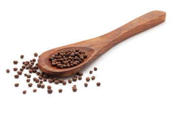 Front view of a wooden spoon filled with Organic Balsam (Impatiens balsamina) seeds. Isolated on a white background.