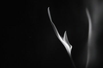 Fototapeta premium smoke on black background
