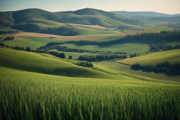 Obraz premium landscape with green grass and sky