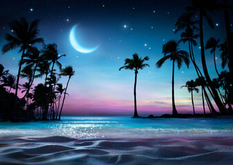 Fototapeta na wymiar Palm Beach At Night With Stars And Moon - Glittering Effects On Ocean
