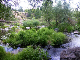 A quiet place in a nature reserve with backwaters of a small river that flows around stones and grass. Natural landscape of beautiful places