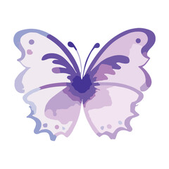 Watercolor butterfly vector illustration on white background.