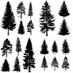black tree silhouette set pure badge eco outline recreation breath emblem label protection graphic pine trunk woodland