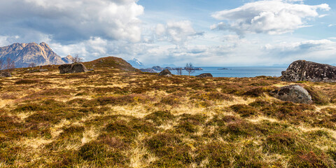 nature sceneries inside the area surroundings of Leknes, Lofoten Islands, Norway, during the spring season