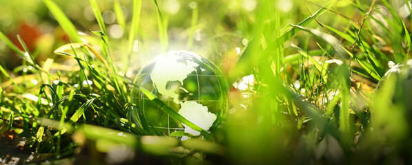 Enviromental conservation and ecology nature future world - eco green planet in the forest with america usa map. Glass globe. sustainable.