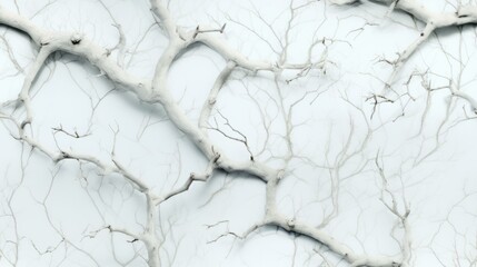 Fototapeta premium Whitewashed Tree Branches