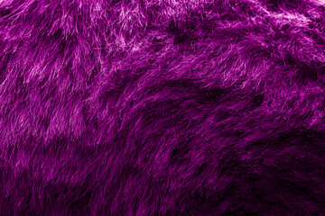 magenta velour plush cloth textured background