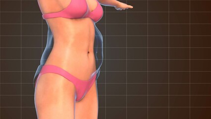 Reducing female body obesity 3d animation